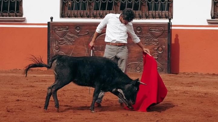Juan Fernando encabeza importante tienta en la ganadería de Pedro Haces.