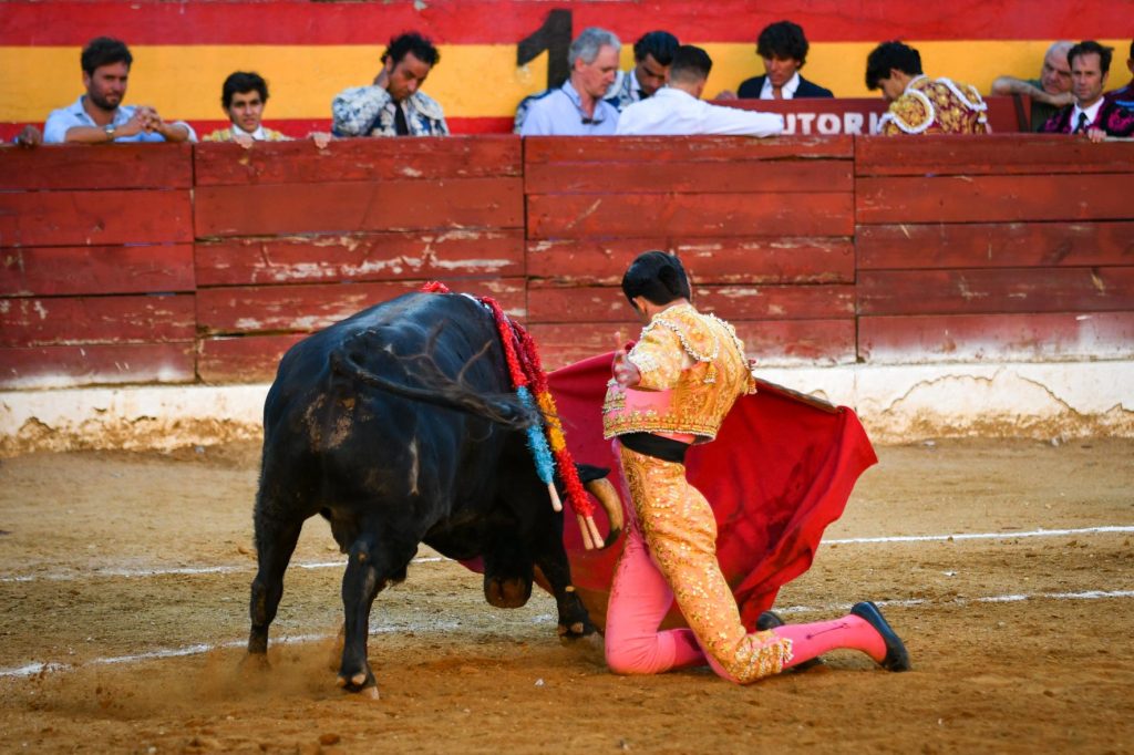 Bruno Aloi triunfa en Roa antes de viajar a México.