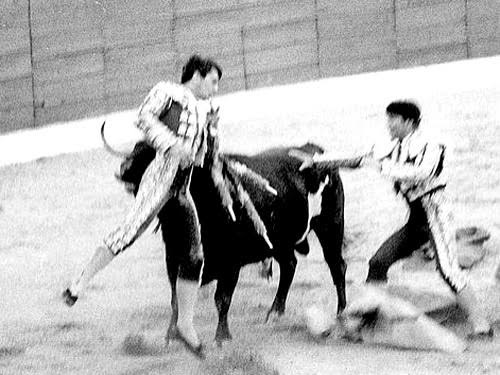 “Pali, este toro me ha matado”, fueron las últimas palabras de José Cubero “Yiyo” hace 39 años antes de morir.