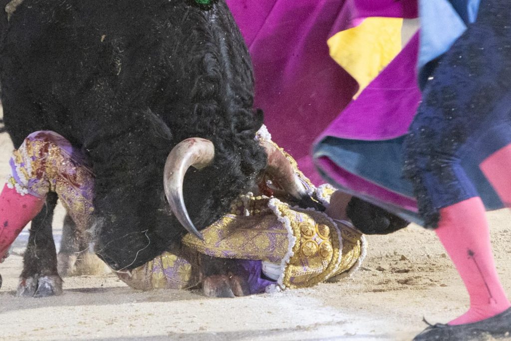 Novillero mexicano sufre gravísima cornada en el cuello en Calasparra, España.