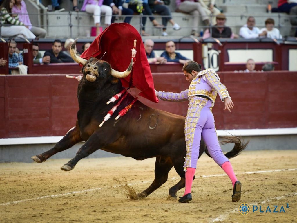Feria de Otoño: Triunfadores, los monosabios.