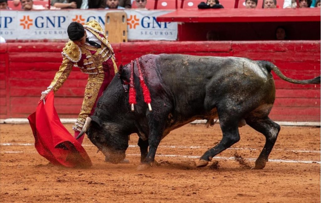 Plaza México: Serios y encastados novillos de San Martín.