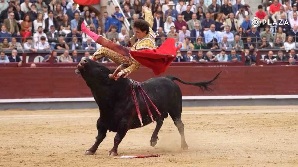 Una dramática cogida de Roca Rey desata la guerra civil en Las Ventas.