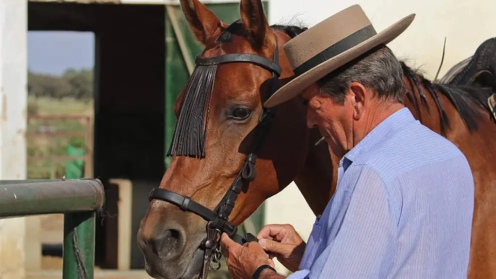 Antonio Miura, ante su regreso a Zaragoza: “Todo torero debería estar preparado para matar mi corrida”