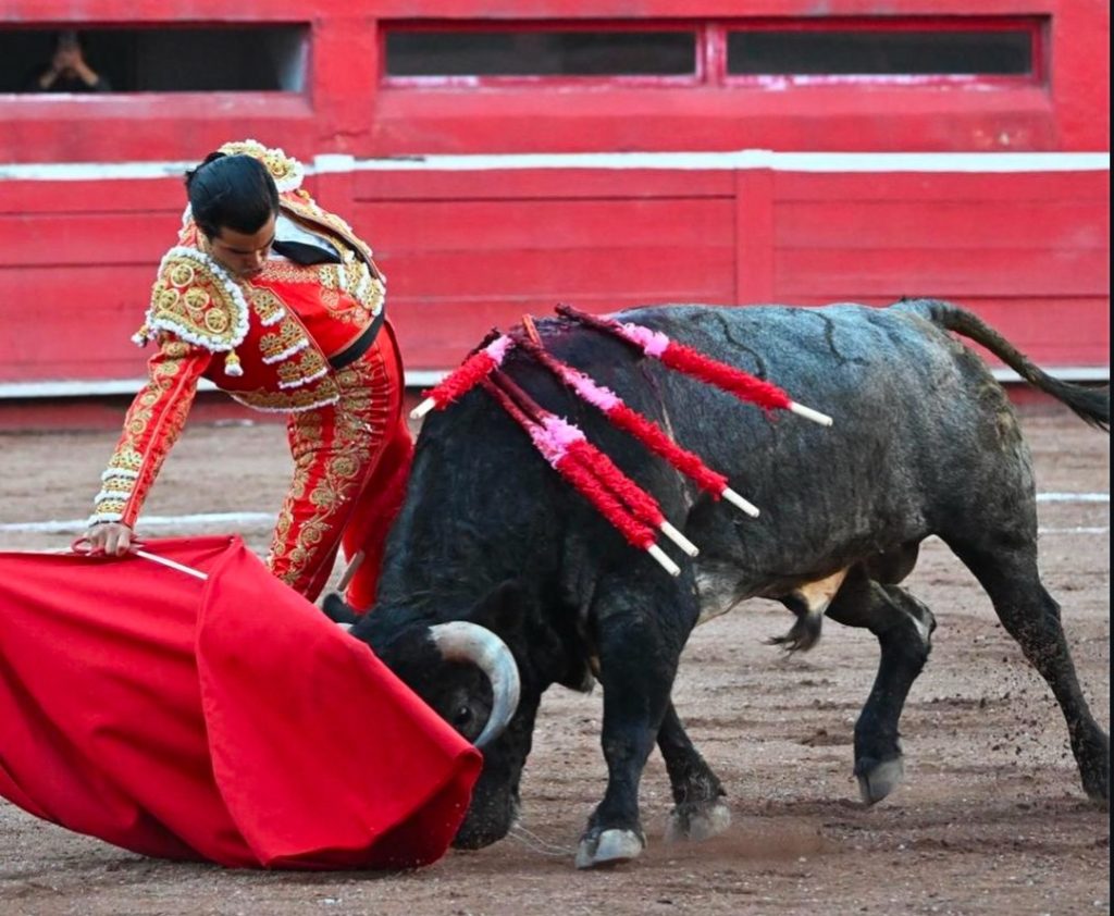 Destaca Diego San Román en Monterrey.