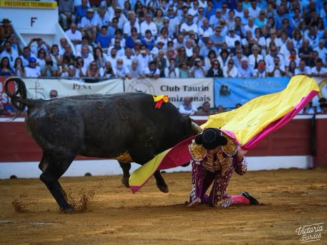 Elenco de ganaderías para la Feria de la Madeleine 2025 de Mont de Marsan.