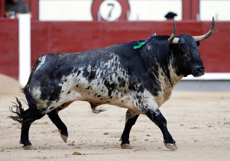 Un reestreno en Las Ventas en nuevas manos.