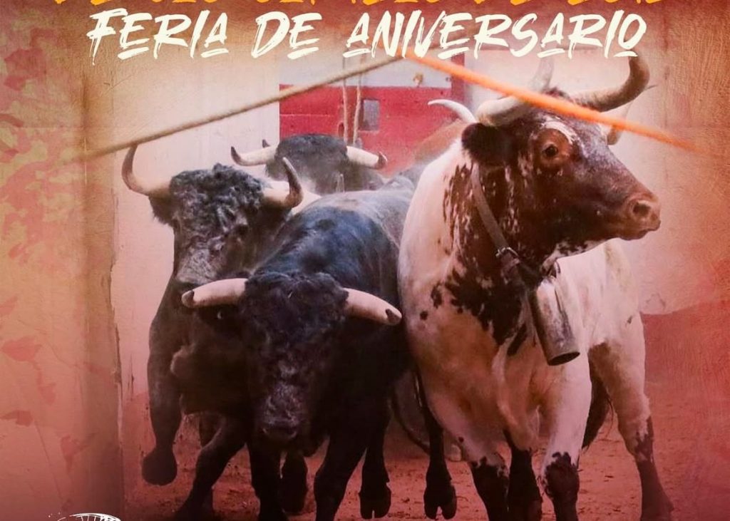 Los toros vuelven a la televisión este domingo con dos interesantes festejos.