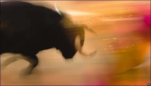 Es lo que digo yo: ¿Sería posible una tauromaquia sin sangre en la Ciudad México?