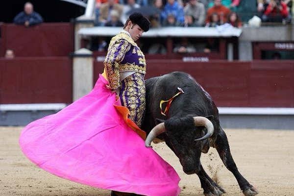 “Algunos taurinos han abierto la puerta de la iniciativa de disminuir la sangre del toro”: El Payo.
