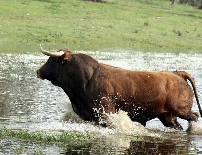 Es lo que digo yo: Los tiempos están cambiando.