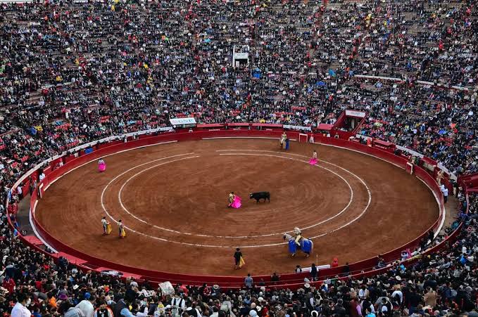 Amparo frena discusión para prohibir corridas de toros en CDMX.