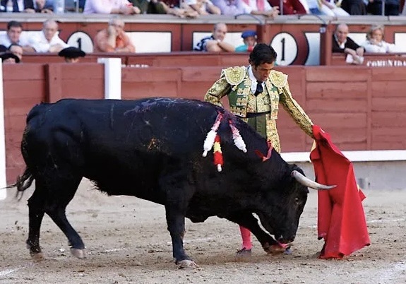 Juan Mora, 42 años de torería.