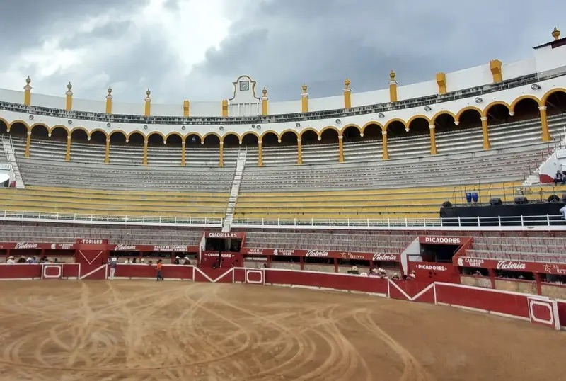 Oficial: Aprueban en Michoacán prohibición de corridas de toros y eventos con violencia contra animales, excepto peleas de gallos.