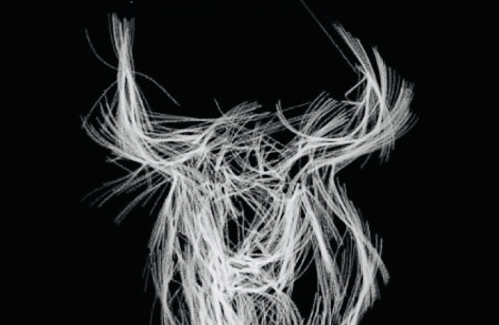 Luz verde para las corridas de toros en la Feria San Juan del Río 2025; municipio busca cumplir lineamientos.