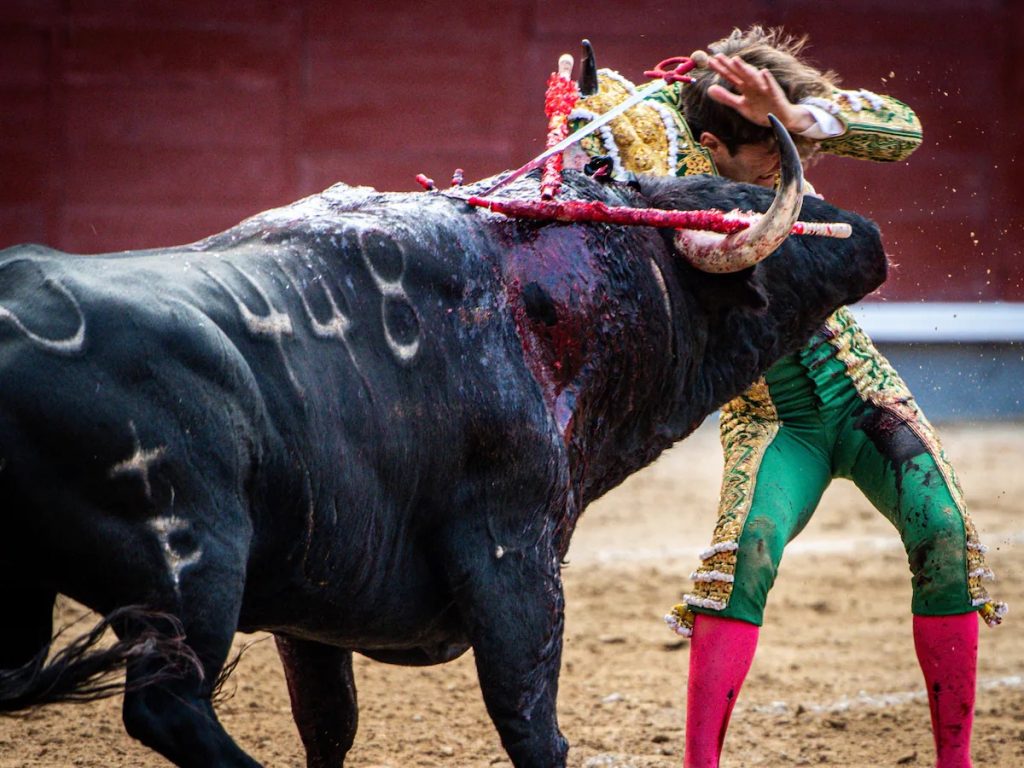 Domingo de Resurreción en Las Ventas: Dos toros de Palha y un valentón.