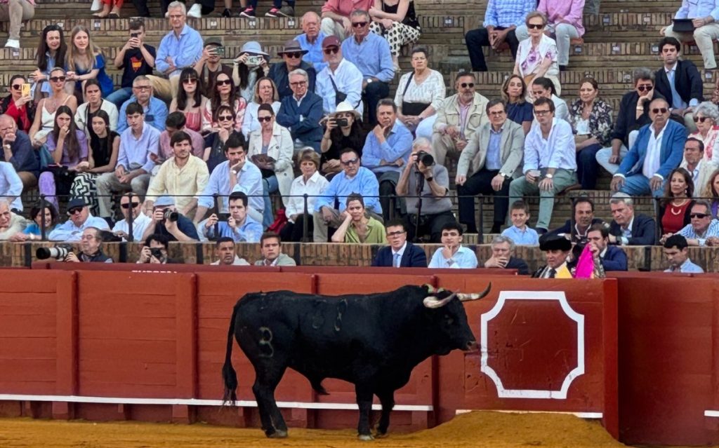 Fermín Bohórquez, sincero: «Ha sido un desastre»