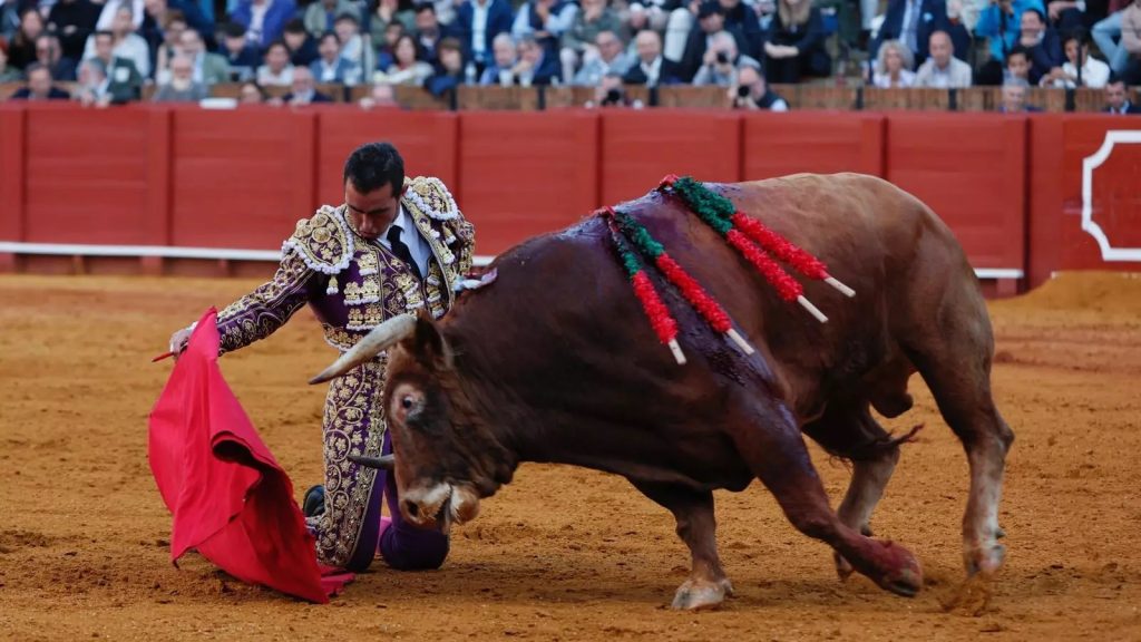 Balcón de Sol: Que no te toque un toro bravo.