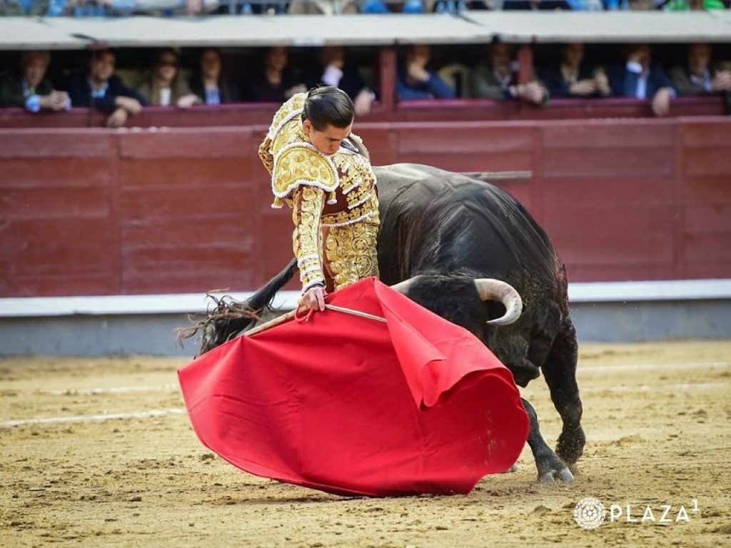 NOVILLADA DE LA FERIA DE LA COMUNIDAD: “¡Viva España!”, ¡y la variedad, el arte y la casta!