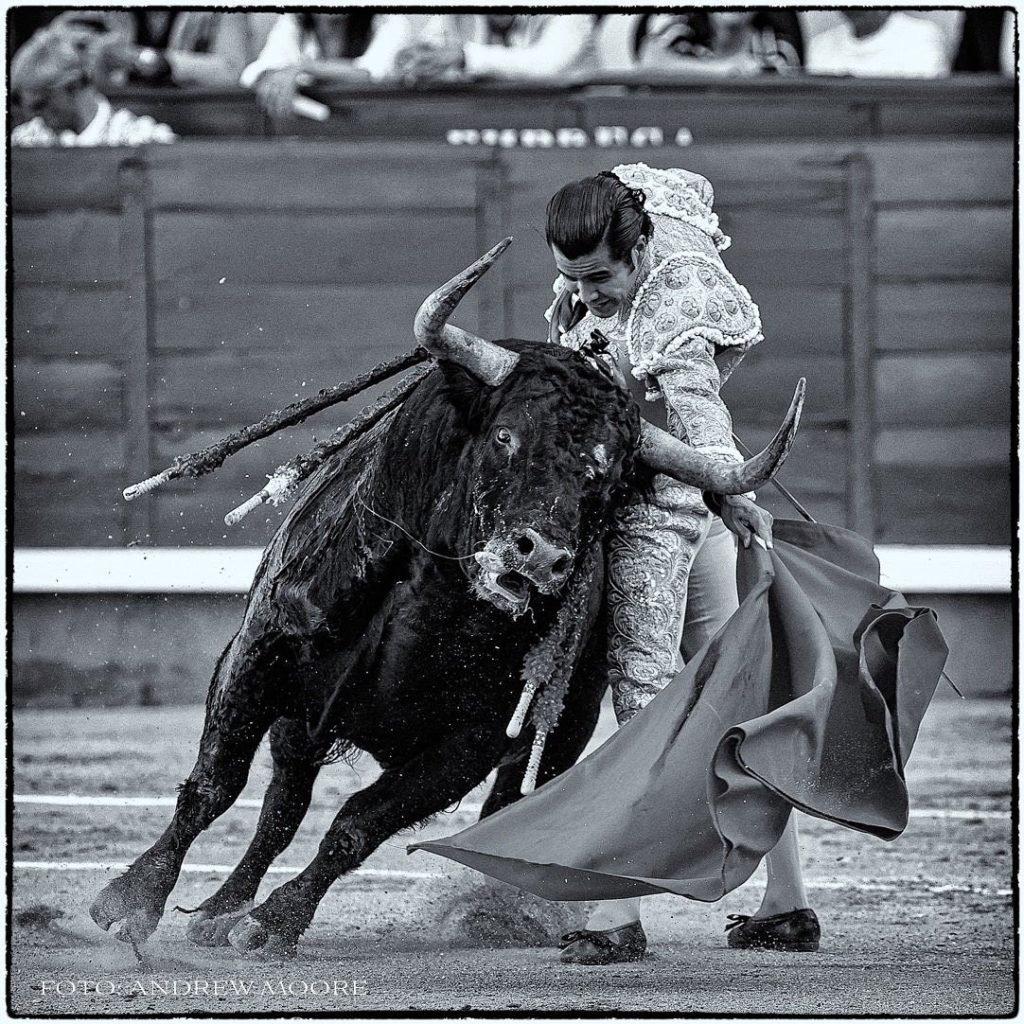 Al Alimón: La “temeridad” de San Román que “se la jugó” en Las Ventas.