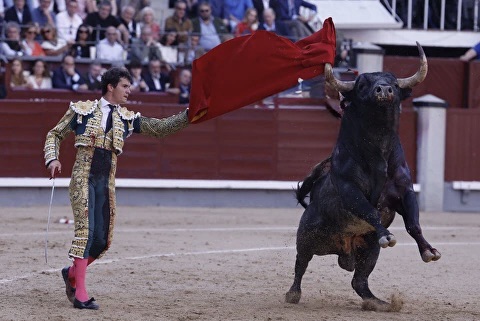 Al Alimón: “Decepción” con Luque y De Justo y la faena “con torería y mando” de Uceda Leal