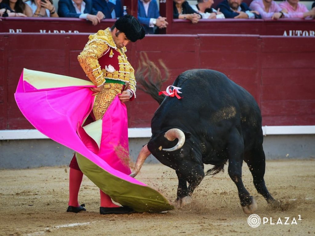 El desiderátum y un presidente para el tinte.