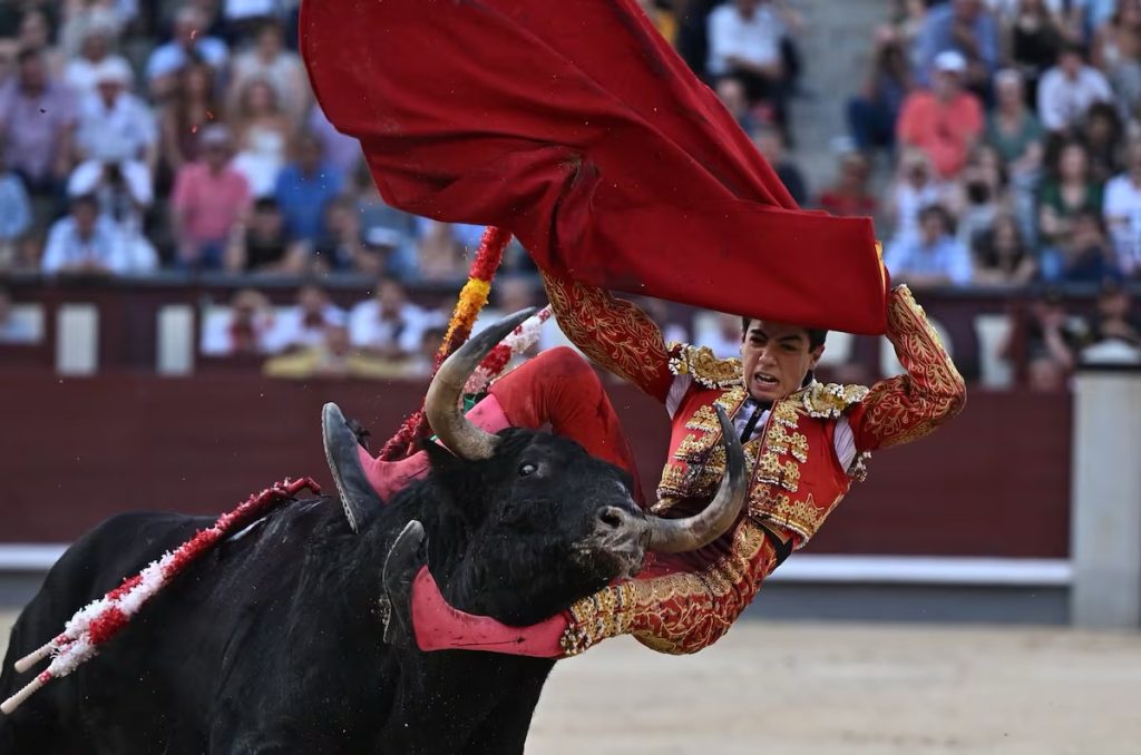 Feria de San Isidro: Marco Pérez, un premio inmerecido, un regalo envenenado.