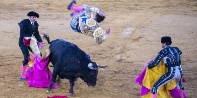Dura cogida en Torrejón del torero Víctor Hernández.