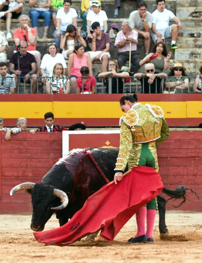 Bruno Aloi pierde el triunfo con la espada en Trillo (España).
