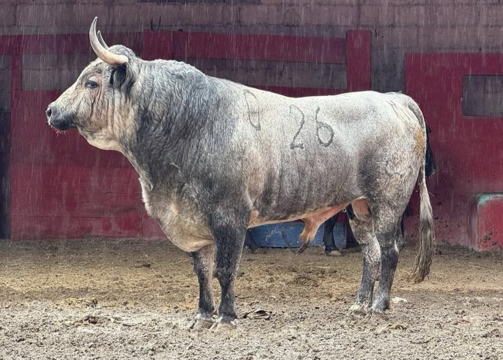 Llega la Corrida de las Luces a Monterrey.