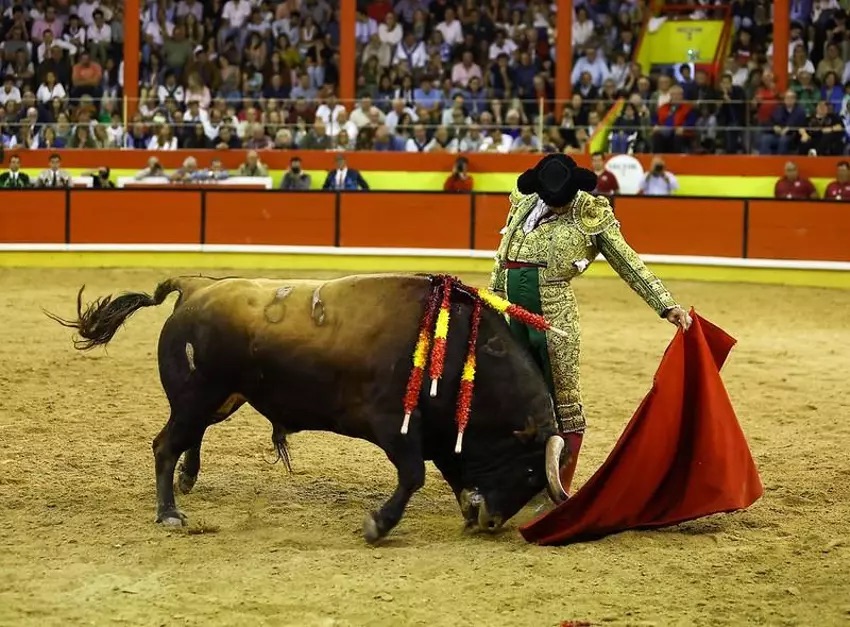 Del fado de Morante a los rumores del monte Baratillo.
