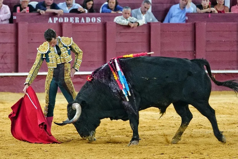 La exuberante rotundidad de Daniel Luque expande su fértil verano en Málaga.