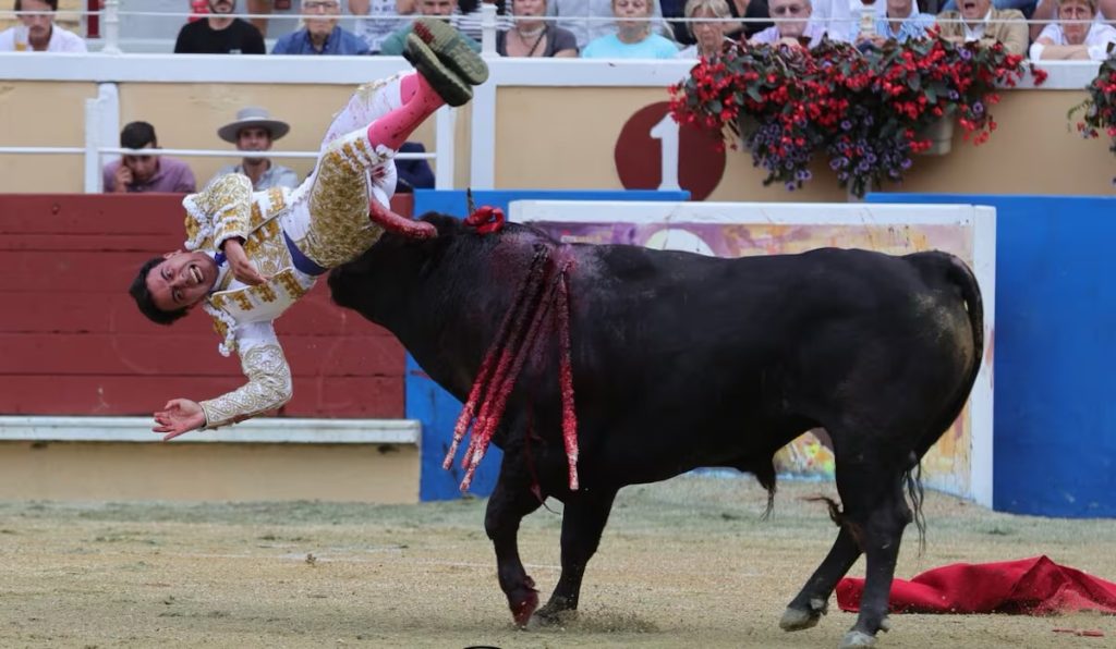 El colombiano Juan de Castilla sufre dos muy graves cornadas en Bayona.