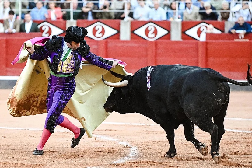 Morante de la Puebla: sonata inconclusa de una tarde memorable en Salamanca.