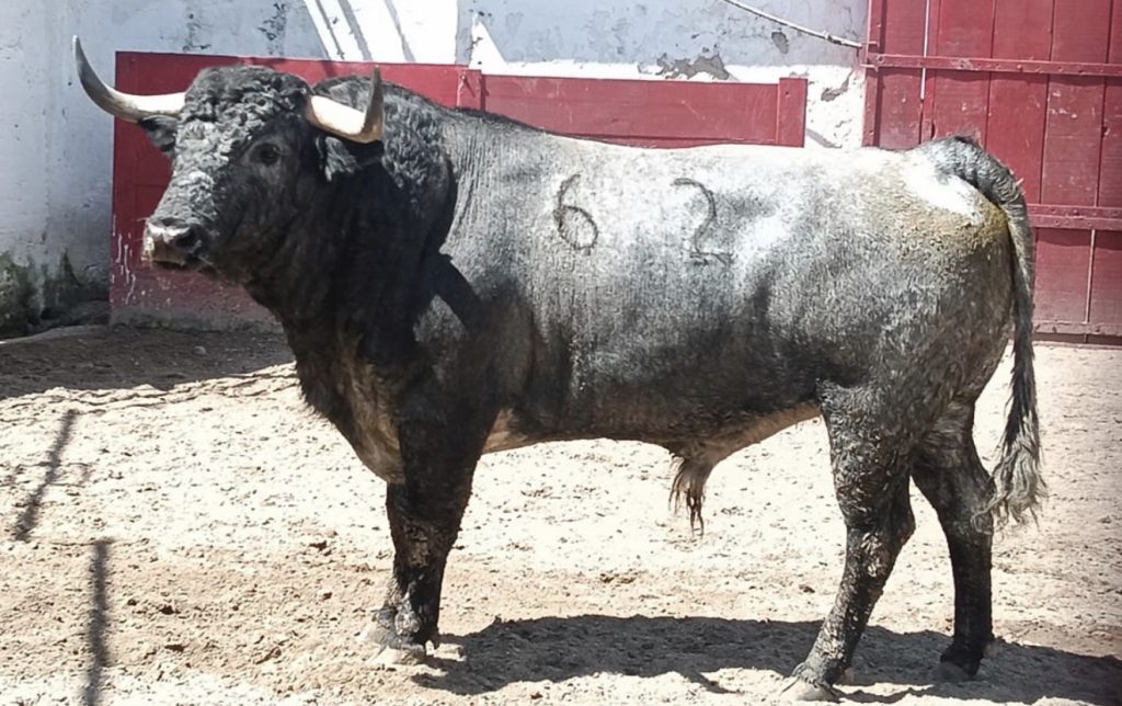 Reseña del encierro a lidiarse este viernes 10 de octubre en Guadalajara.