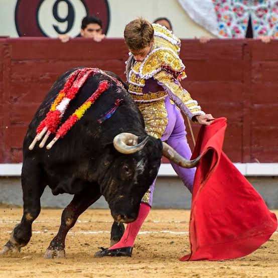 El retorno de Borja Jiménez a México levanta grandes expectativas.