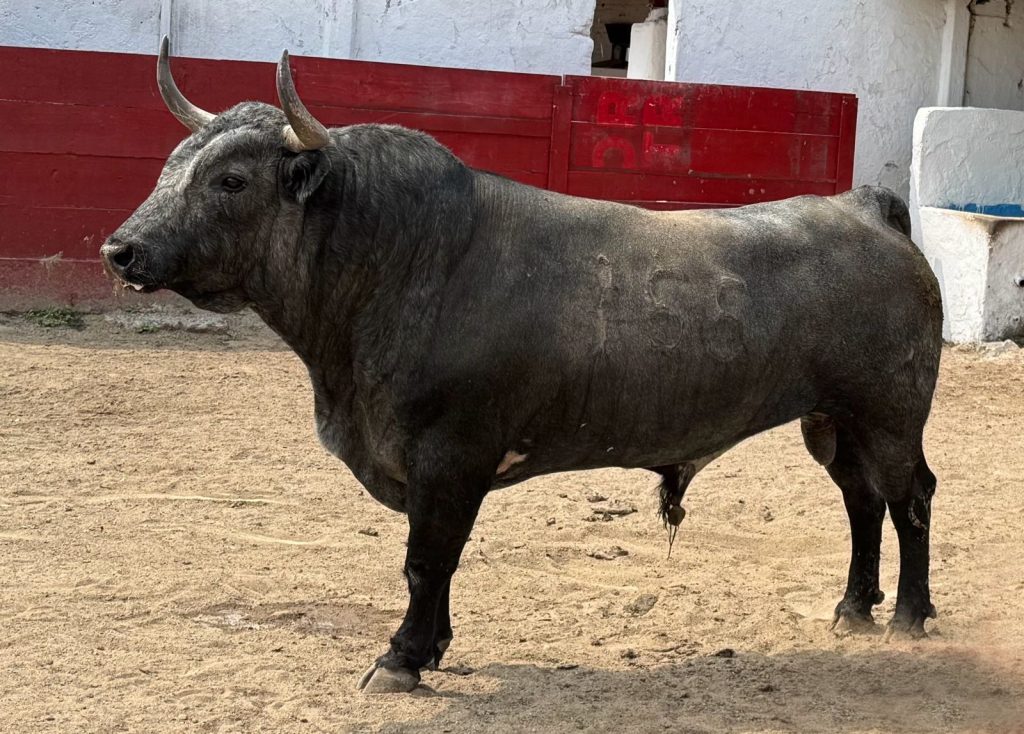 Quedó reseñado el encierro de Teófilo Gómez para este domingo en el Nuevo Progreso de Guadalajara.