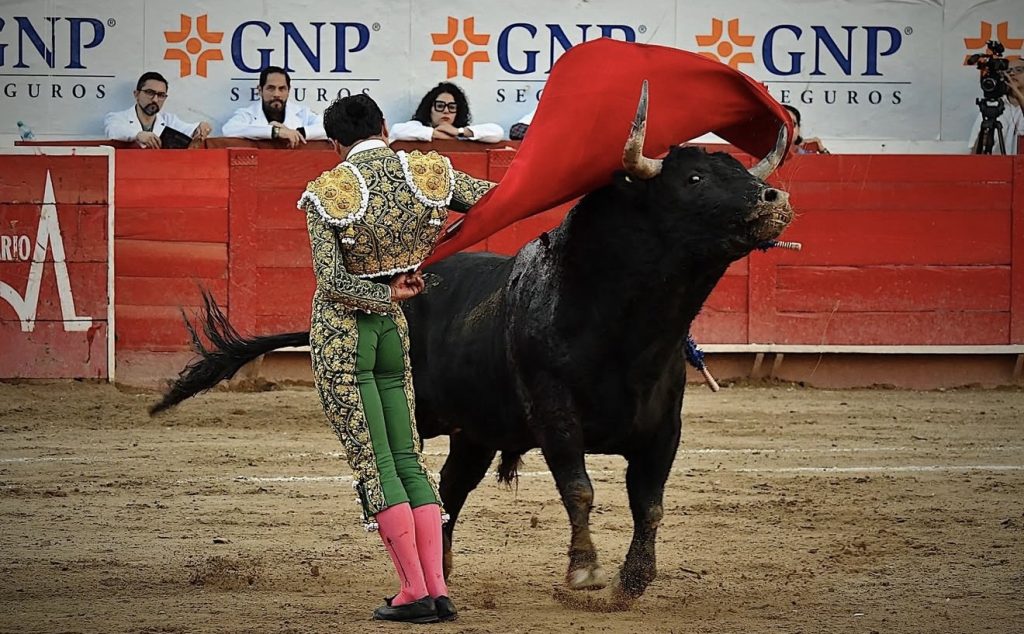 Luis David triunfa en la Nuevo Progreso.