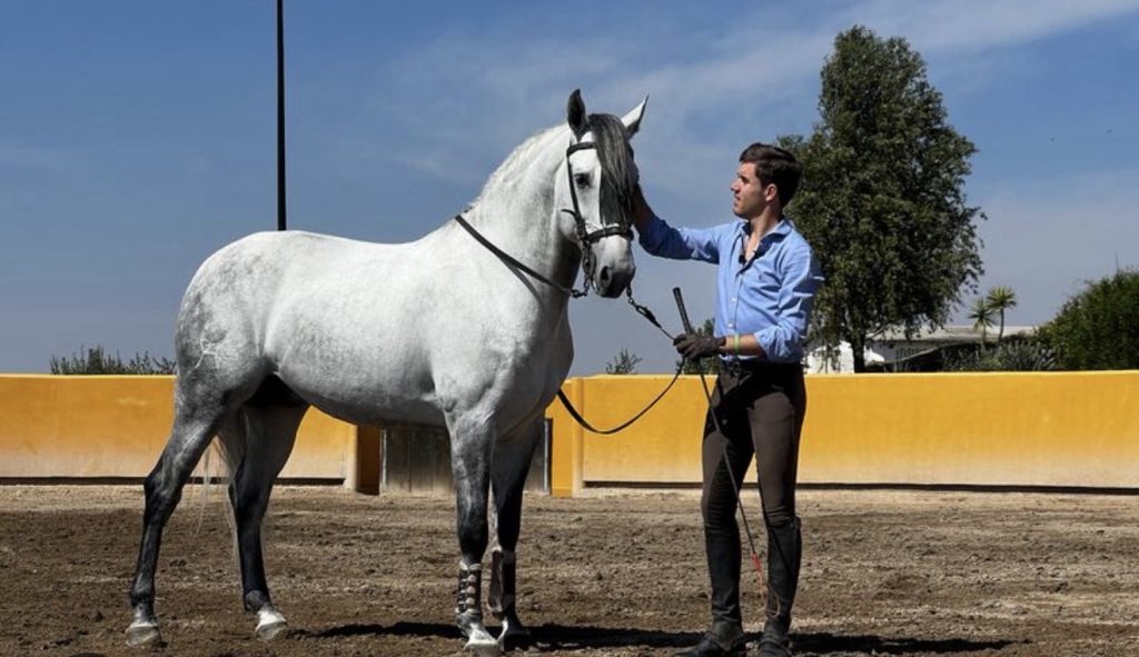 Guillermo Hermoso, eje y figura del Año Nuevo taurino en Mérida.