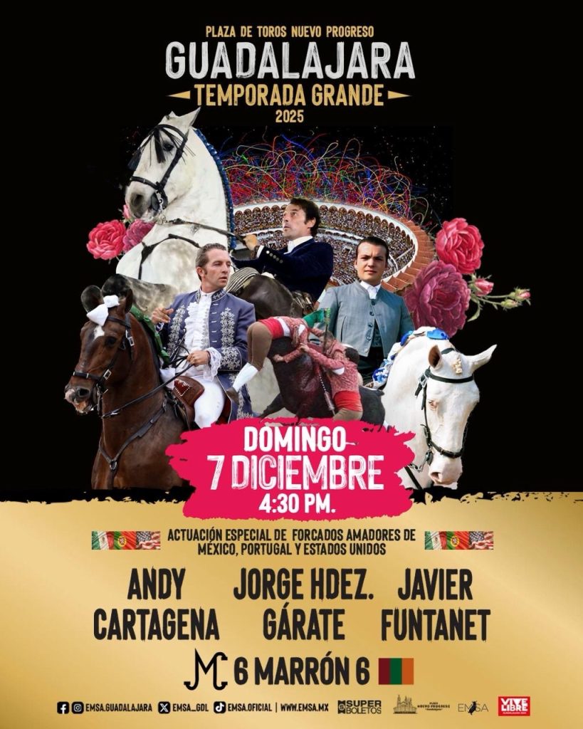 Cartel internacional de rejones para el 7 de diciembre en el Nuevo Progreso.