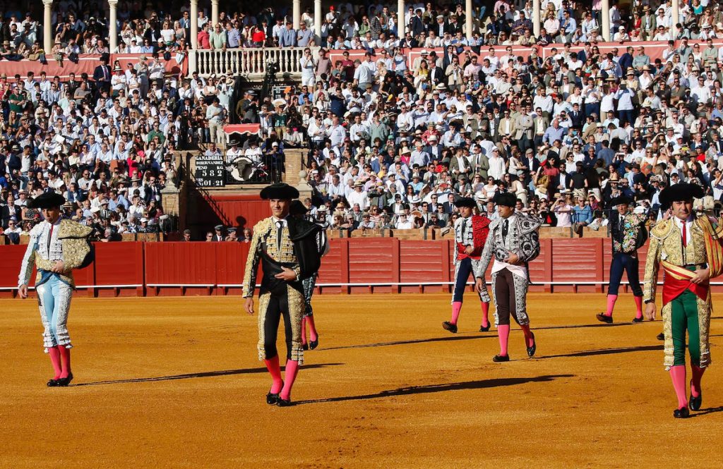 Los toros hacen el paseíllo en la Universidad de Sevilla.