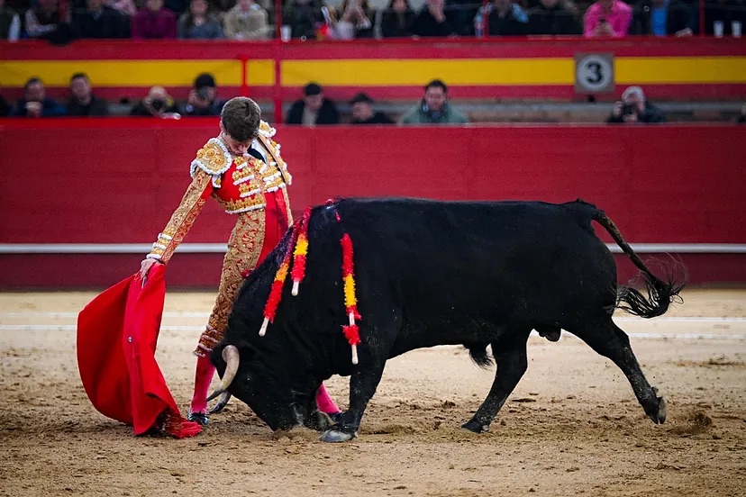Feria de San Blas: Borja Jiménez y Tomás Rufo protagonizan un opaco mano a mano en Valdemorillo, aun con toros para el triunfo.