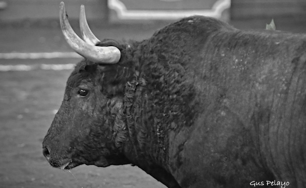 Begoña impone seriedad en el carnaval de Autlán.