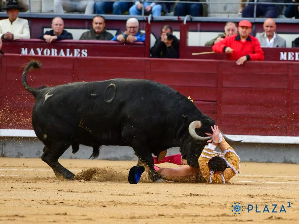 Las Ventas: Cuadri, un sonoro fracaso.