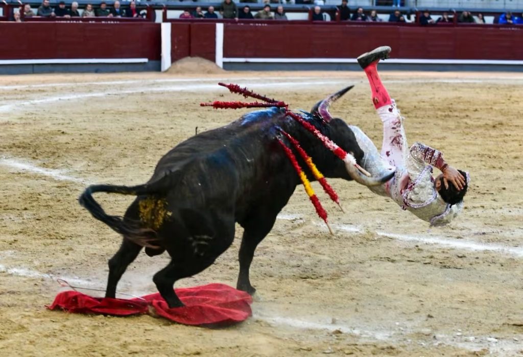 Toros en Las Ventas: Dramática cogida de Cristian Pérez.