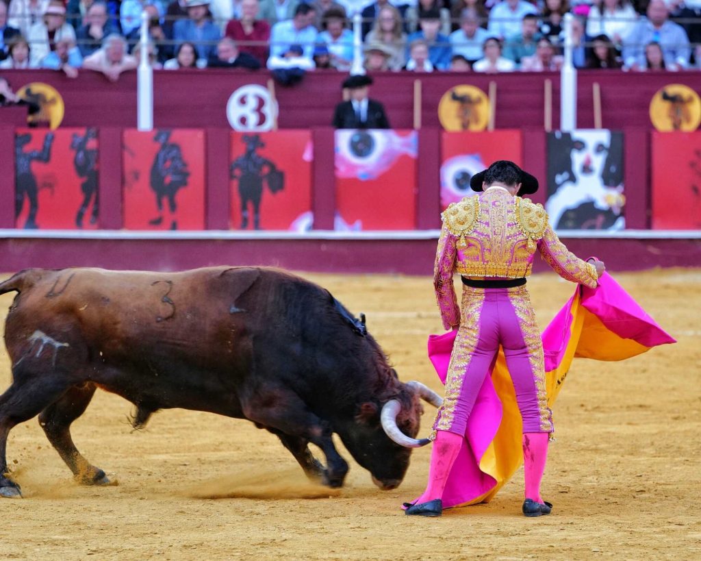 Málaga: Una Picassiana muy triste.