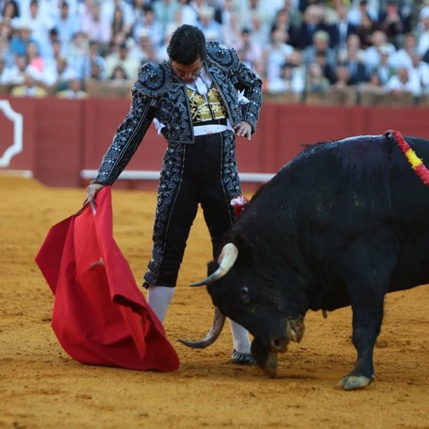 ¡De Regreso! Por Heriberto Murrieta.