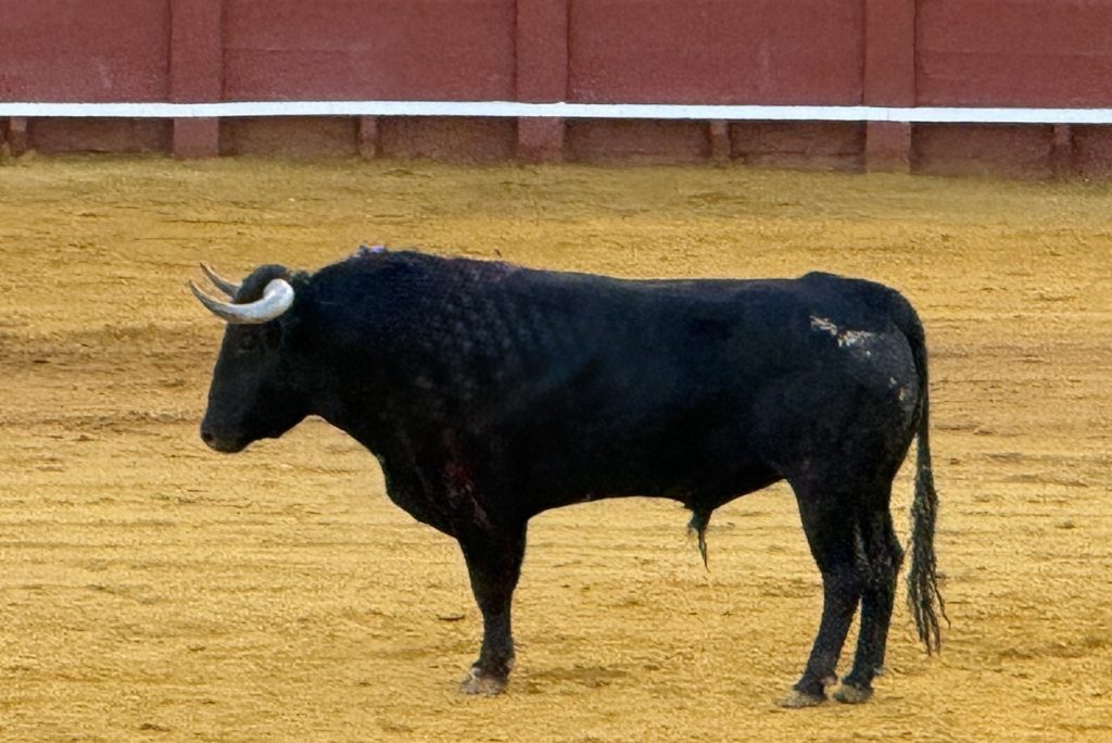 Feria de Abril: ¡Albricias! Protestas en La Maestranza.