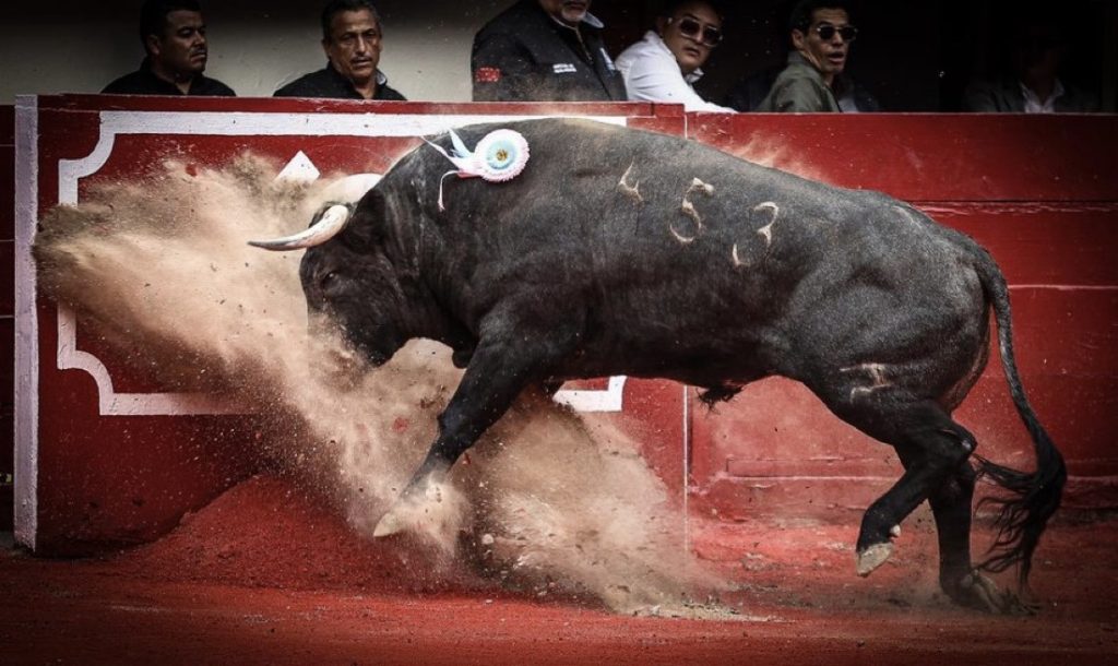 1ª de Aguascalientes: Toros de José Barba tan bonitos como mansos.