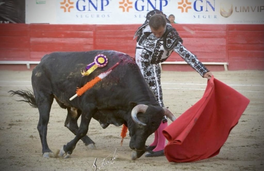 Ricaud se llevó el triunfo en la novillada de León.